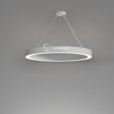 China Modern Designer Lights Suspended Curve Linear Light Led Modern Chandelier Circle Pendant Light Ring Led Circular Lamp for sale