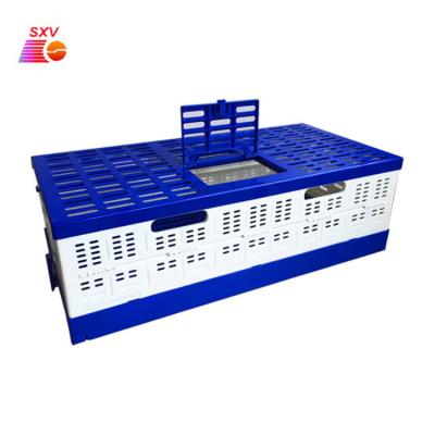 China 2021 Viable Pet Poultry Product Bird Plastic Transport Cage Foldable Packing Pigeon Cage for sale