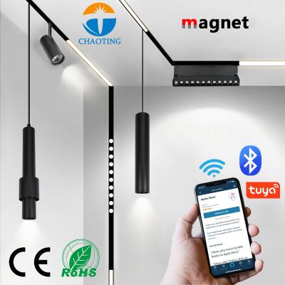 China 10W 20W 30W Remote Control LED Linear Magnetic Track Lighting Mini Dimmable Spot LED Track Light for sale