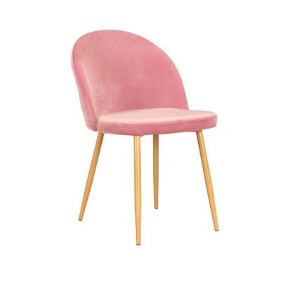 China Modern Wholesale Home KD Transfer Fabric Warm Beech Wood Furniture Velvet And Transfer Legs Dining Chair for sale