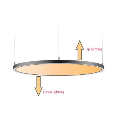 China Hotel Smd 2835 Thin Round Led Flat Lamp Panel Light Ceiling Through Lighting With lifud Driver for sale