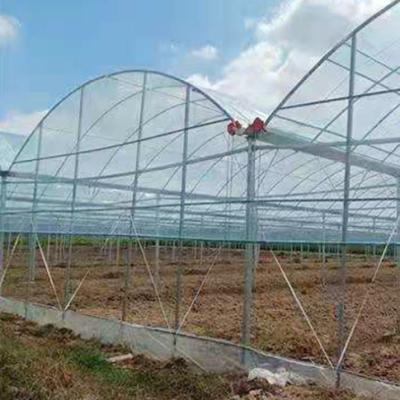 China Stable structure easily assembled best selling in Southeast Asia high quality and cheap price plastic shed for sale for sale