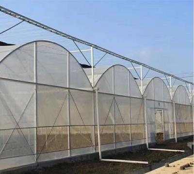 China Stable structure easily compiled manufacturer designs single united greenhouse, greenhouse and multi span plastic film greenhouse for sale