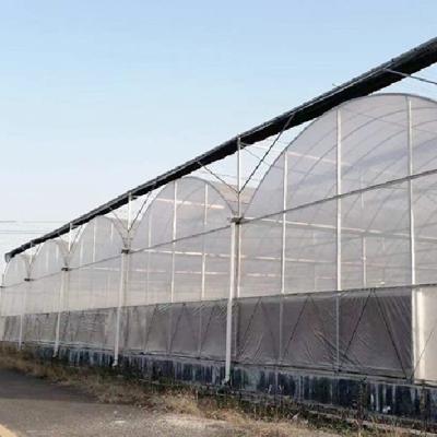 China Stable Structure Easily Assembled Multi Span Greenhouse Multi Span Greenhouse Steel Structure One-Stop Agricultural Multi Span Greenhouse for sale