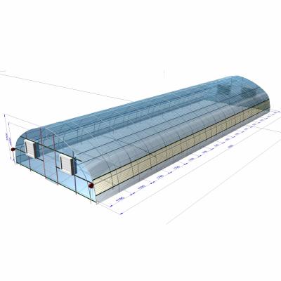 China Plant Growth And Breeding Poultry Film Tunnels High Saw Type China Plastic Sheet Agriculture Circle House In-solar Single Layer 2.8m Low Cost China Greenhouses --4m for sale