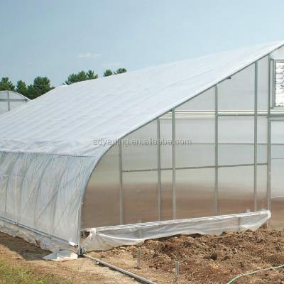 China PE Farm Oriented Greenhouse For Sale for sale