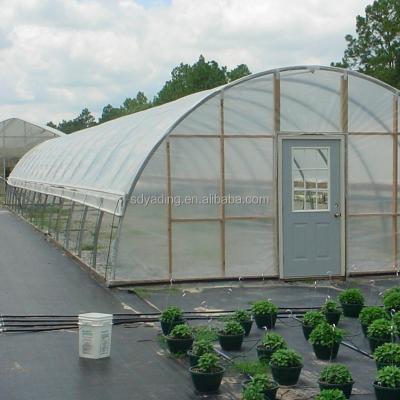 China PE Single Span Greenhouse Hemp Greenhouse Blackout Greenhouse for sale