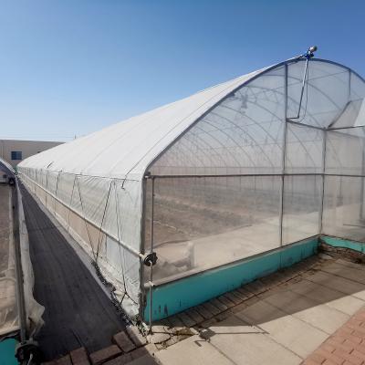 China Single Span Greenhouse Plastic Sheet PE Hot Best Quality 30ft Other Greenhouses Hydroponic Hot Dip Galvanized Steel Frame for sale