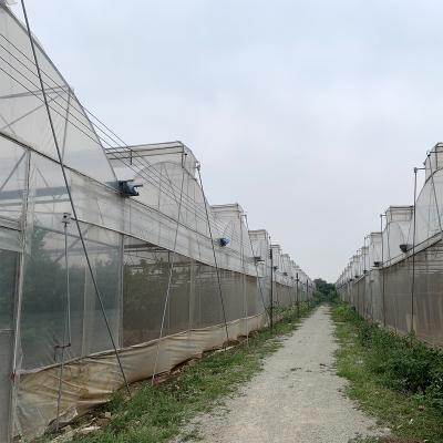 China PE Frame Hydroponic Green House Customized Strong Circle House Other Cheap Small Steel Greenhouse Small Agricultural Vegetable China for sale