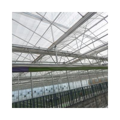 China New Agriculture Listing Large Hydroponic Planting Operation And Practicality Can Be Customized Multi-span Greenhouses for sale