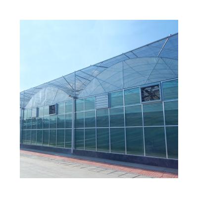 China Greenhouse Multi-span Agriculture Factory Sale Plastic Sheet Hydroponic Planting Plastic Shed Film For Sale for sale