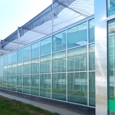 China Agriculture PC Sheet Hydroponic Planting Greenhouse Multi Span Green House Cheapest And Easily Installed Agricultural Commercial Hydrophonic Greenhouse for sale