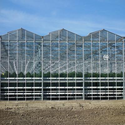 China Agriculture Hydroponic Planting Large Teaching Glass Greenhouse For Vegetable Plants Automatic Skylight Greenhouse for sale