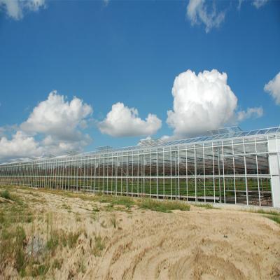 China Agriculture Skyplant Commerccial Venlo Hydroponic Planting Type CN Greenhouses Glass Agriculture Agriculture Multi-span hydroponic planting; JIA 6/7/8m*n for sale