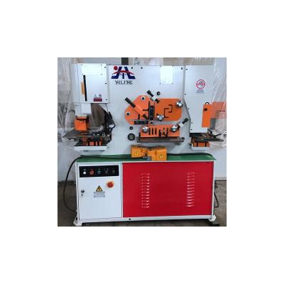 China Q35Y Hydraulic Factory Competitive Price Hot Series Tool Belt Iron Worker For Cutting And Punching Angles for sale