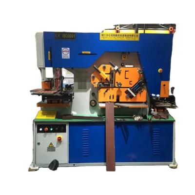 China Factory Iron Worker Q35Y-25 Series Hydraulic Press 25 40 63 80 100 Ton Single Column Punching Machine for sale