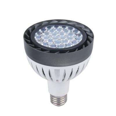 China New Indoor Lighting LED Lighting High Lumen COB LED PAR Light E27 PAR30 LED Floodlight for sale