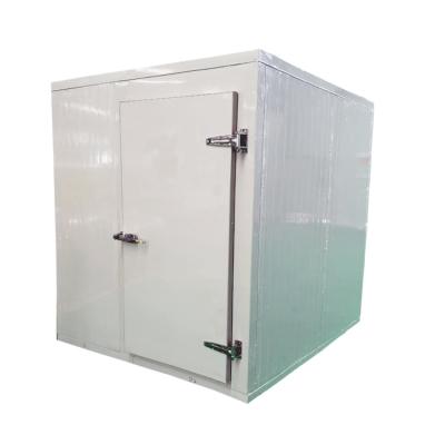 China Blow Freezer Storage China Star Supplier Ice Cream Storage Cold Room Cold Room for sale