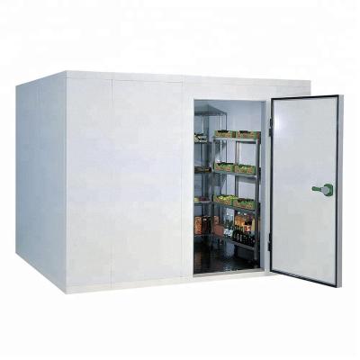 China Factory Cold Room Room Modular Iced Storage Refrigerator for sale