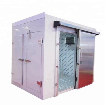 China Hottest Cold Room Kitchen Fish Blast Freezer Storage China Product Cold Room for sale