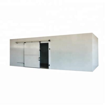 China Cold Room Industrial Storage Container Blast Freezer Storage Hot Sale Room Chiller for sale