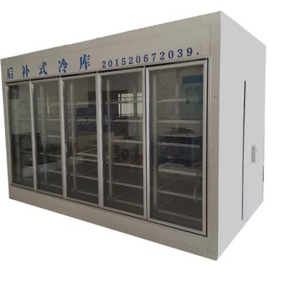 China All Small Liquid Cold Room Cold Room Walk In Cooler For Sale for sale