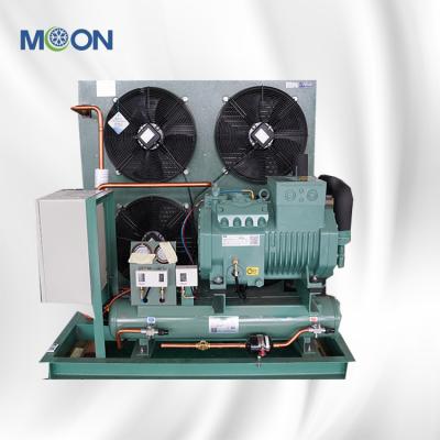 China Cool Cheaper Moon Cold Room Compressor Freezer Refrigeration Condensing Unit For Cold Storage for sale