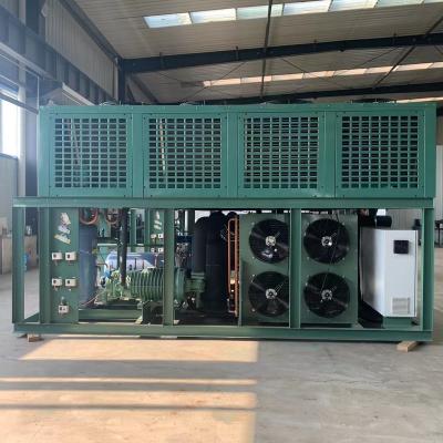 China Hotels DUST 60HP Screw Compressor Condensing Unit For Cold Room Blast Freezer for sale