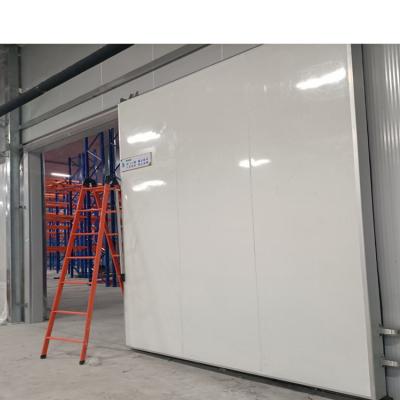 China Modern Electric Manual Cold Room Sliding Door Insulation Door for sale