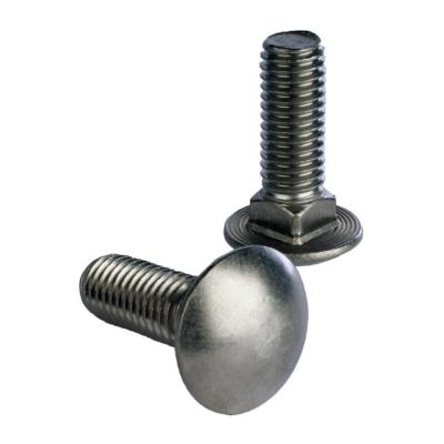 China Stainless Steel Mushroom Head Short Neck Fastenal Round Hardened Carriage Bolts for sale