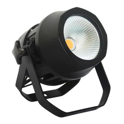 China New Design 200W Outdoor Waterproof COB Par Light Outdoor Waterproof LED Stage Lamp LED Par Light for sale