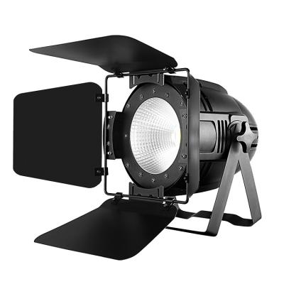 China Hot Sales 2in1 Cob LED Stage Par Light / Cool White 200W Parcan DMX512 Led Stage Par Light for sale