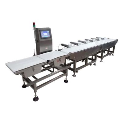 China Stainless Steel SUS304 Automatic Assembly Line High Accuracy Machine Online Conveyor Electronic Weighing Machine for sale