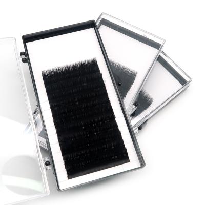 China Best Selling Thick False Eyelash Individual Extensions Wholesale Eye Lash Extension Synthetic / Mink Lash Eyelashes for sale