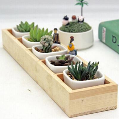 China Modern Hot Succulent Planting Wooden Box Tray Rectangle Container Small Flowerpot 5 Grids Planter Flower Pot for sale