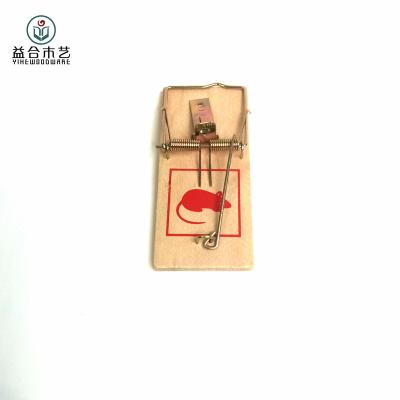 China Disposable Small Size Wooden Spring Action Wooden Snap Trap With Raised Trigger for sale