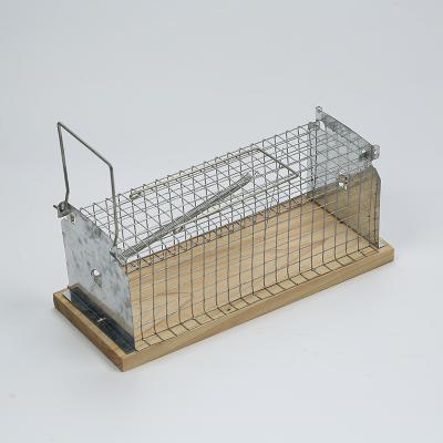 China Live Multi Catch Wire Mesh Metal Viable Humane Rat Mice Trap Mouse Wire Trap Animal Cage for sale