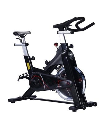 China PS 2441 Home Use Home Use/Commercial Exercise Bike 13kg Flywheel Fitness Indoor Cycling Cycle for sale