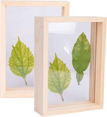 China Office Home Desktop Display Wooden Frame for DIY Dry Flowers and Leaves for sale