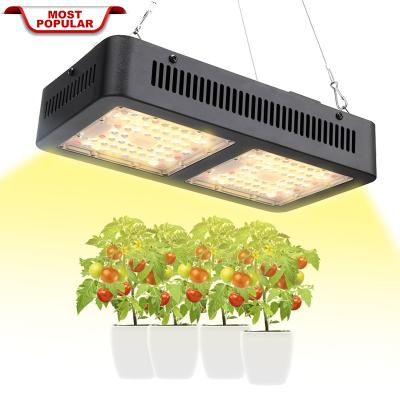 China Seed Starting Indoor Greenhouse Hydroponics Horticulture Plants 1000w Full Spectrum Led To Grow Light for sale