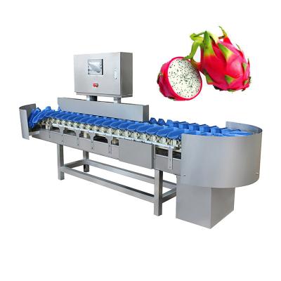 China Snack Factory Fruit Sorter CE and ISO Approved Fruit Grading Machine Dragon Fruit Sorting Machine for sale