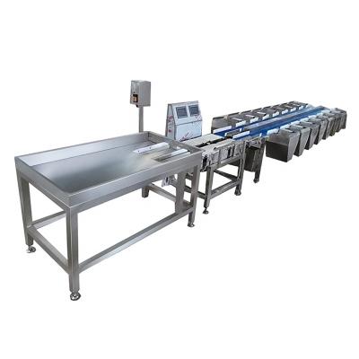 China New imported sensors technology guaranteed sorter belt type automatic food quality weight sorter for sale