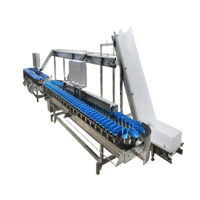 China Screen Touch Fruit Sorter Weight Sorter Sea Oyster Classifier Machine for sale