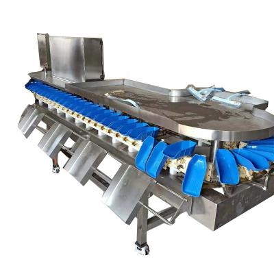 China Factory Directly Sell Shrimp Touch Screen / Sea Oyster Grader Seafood Sorter for sale