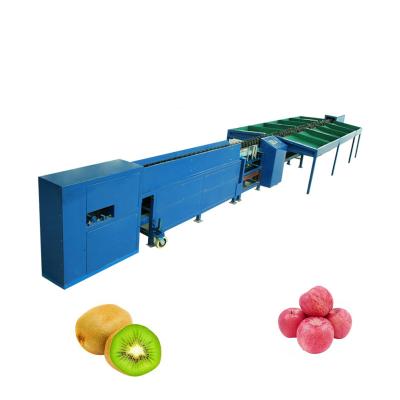 China Screen Touch Fruit Grading Machine Electronic Fruit Weight Sorter Orange Sorter for sale