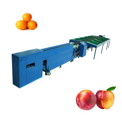 China Electronic Vegetable Fruit Sorter Apple Fruit Touch Screen Computer Control Sorter for sale