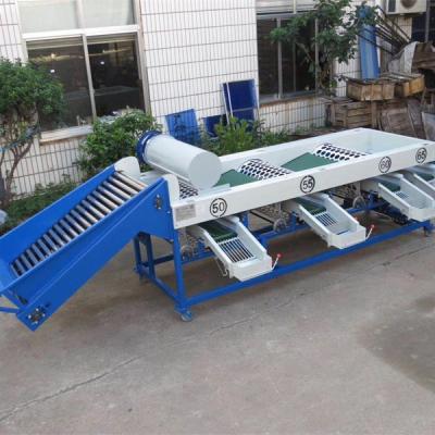 China High Efficiency Easy Operate Industrial Fresh Fruit Processing Machines Automatic Industrial Cherries Dimensions Sorter Grader for sale