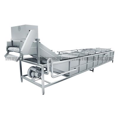 China Fruit Processing Dragon Fruit Processing Machinery Dragon Fruits Washing Grading Drying Packing Machinery for sale