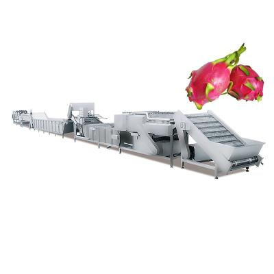 China High Efficiency Easy Operate Vegetable Fruits Washing Drying Processing Line Dragon Fruit Processing Machine for sale