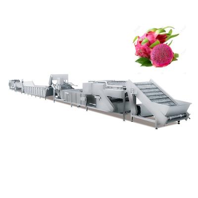 China High Efficiency Easy Operate China Wholesale Vegetable Processing Machine Fruit And Vegetable Washing Spray Tubing Dragon Fruit Washing Drying Machine for sale